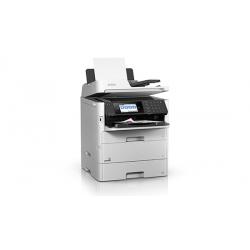 Epson 579R